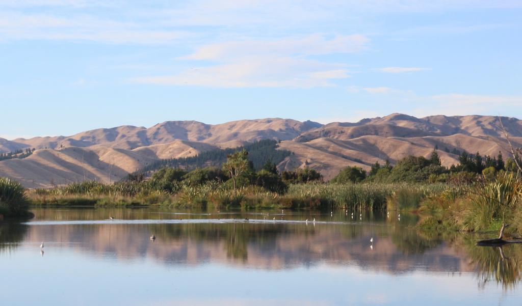 Misty River Retreat Бленхайм Екстериор снимка
